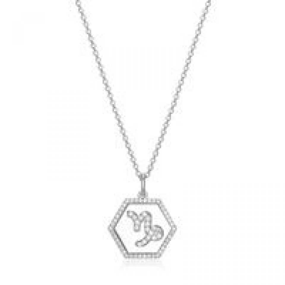 REIGN 925 Capricorn Zodiac CZ Necklace
